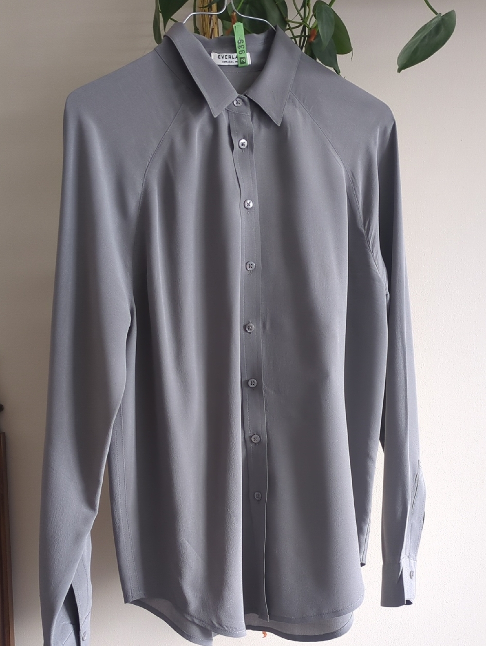 Everlane 100% Silk Point Collar Button-up Shirt